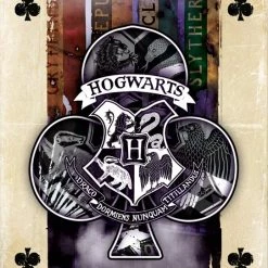 Winning Moves Harry Potter - Playing Cards -Kinderspellen Verkoopwinkel 542x840 2