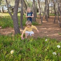 BS Beestjes - Actief Zoekspel - Educatief - Kaartspel -Kinderspellen Verkoopwinkel 550x366 37
