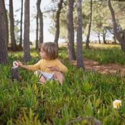 BS Beestjes - Actief Zoekspel - Educatief - Kaartspel -Kinderspellen Verkoopwinkel 550x366 42