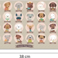 APLI Kids Wie Is Wie Spel -Kinderspellen Verkoopwinkel 550x375 6