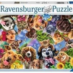 Ravensburger Brandweerman Sam In Actie - Pocketspel -Kinderspellen Verkoopwinkel 550x397 1