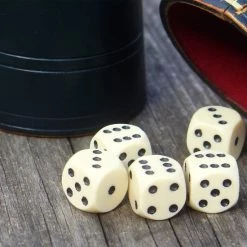 Merkloos Yahtzee Set Met Dobbelstenen En Scoreblok – Gezelschapsspel Voor Volwassenen En Kinderen – Speel Tot 600 Dobbelspellen -Kinderspellen Verkoopwinkel 550x550 87