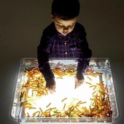 TickiT - Kunststof Bak Voor Op A3 Lichtpaneel -Kinderspellen Verkoopwinkel 550x825 7